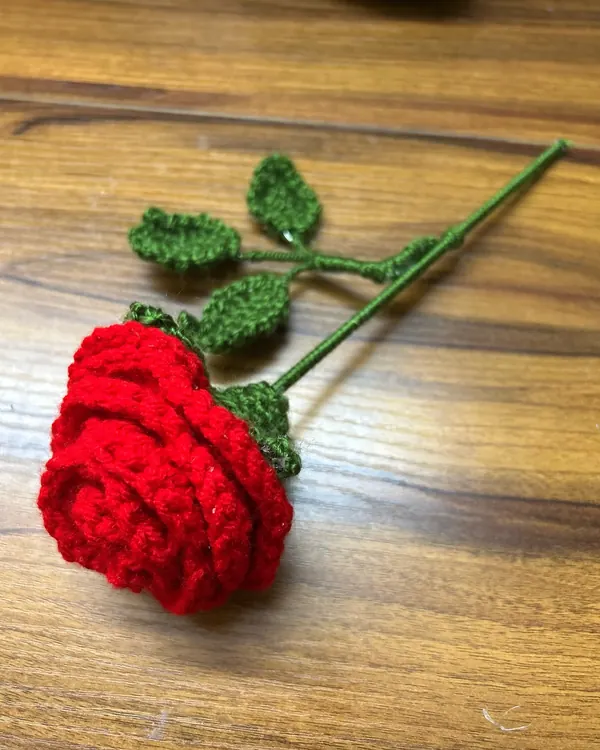 Crochet 009